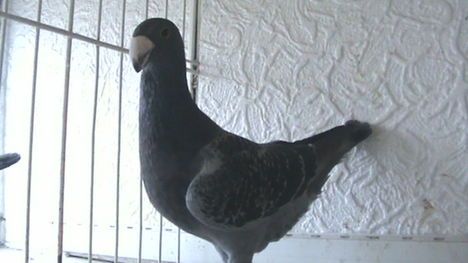 kep008.jpg